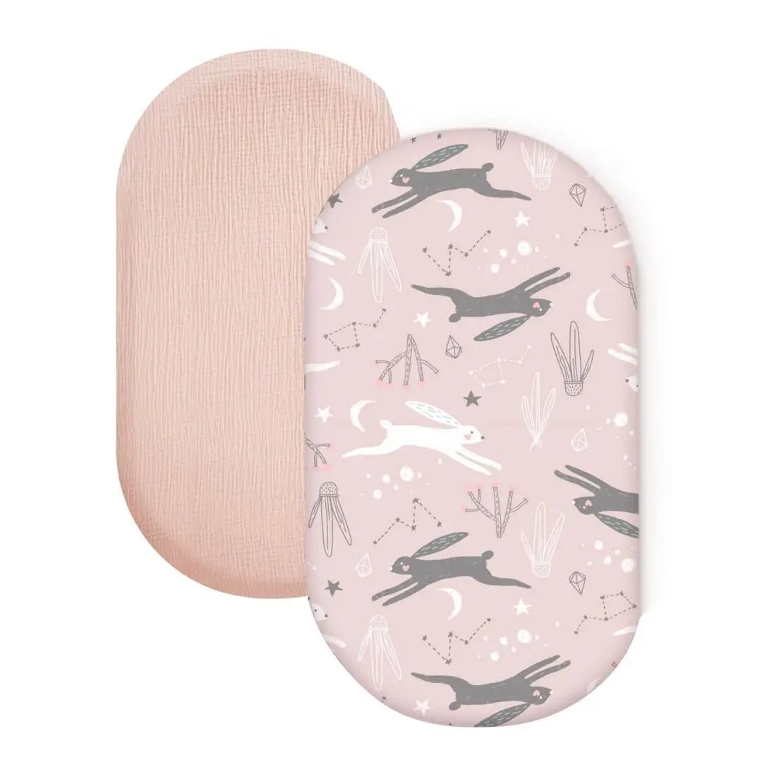 S792273d5251948ada82337716333bb2aw